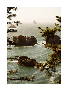 Fotografie der Oregon-Küste mit Meer, kleinen Inseln und Bäumen im Vordergrund.