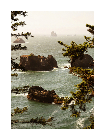 Fotografie der Oregon-Küste mit Meer, kleinen Inseln und Bäumen im Vordergrund.