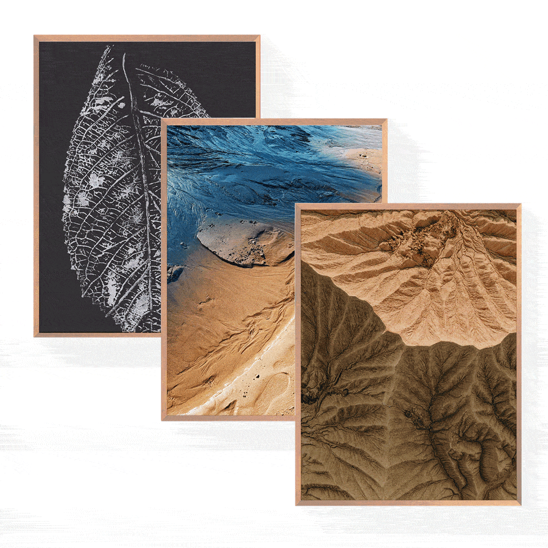 Organic Modern Poster Bundle