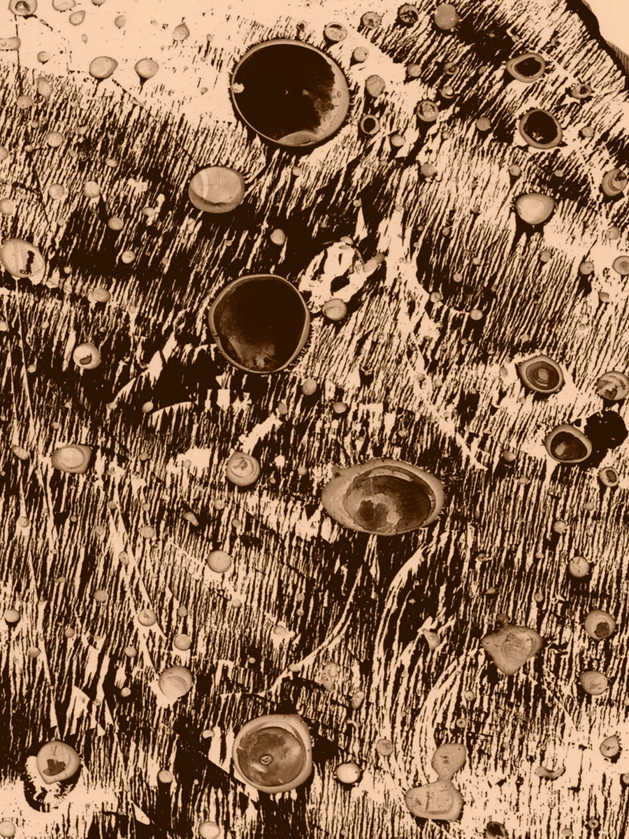 Abstrakte Kunst in Beige und Braun mit organischen Formen und Texturen.