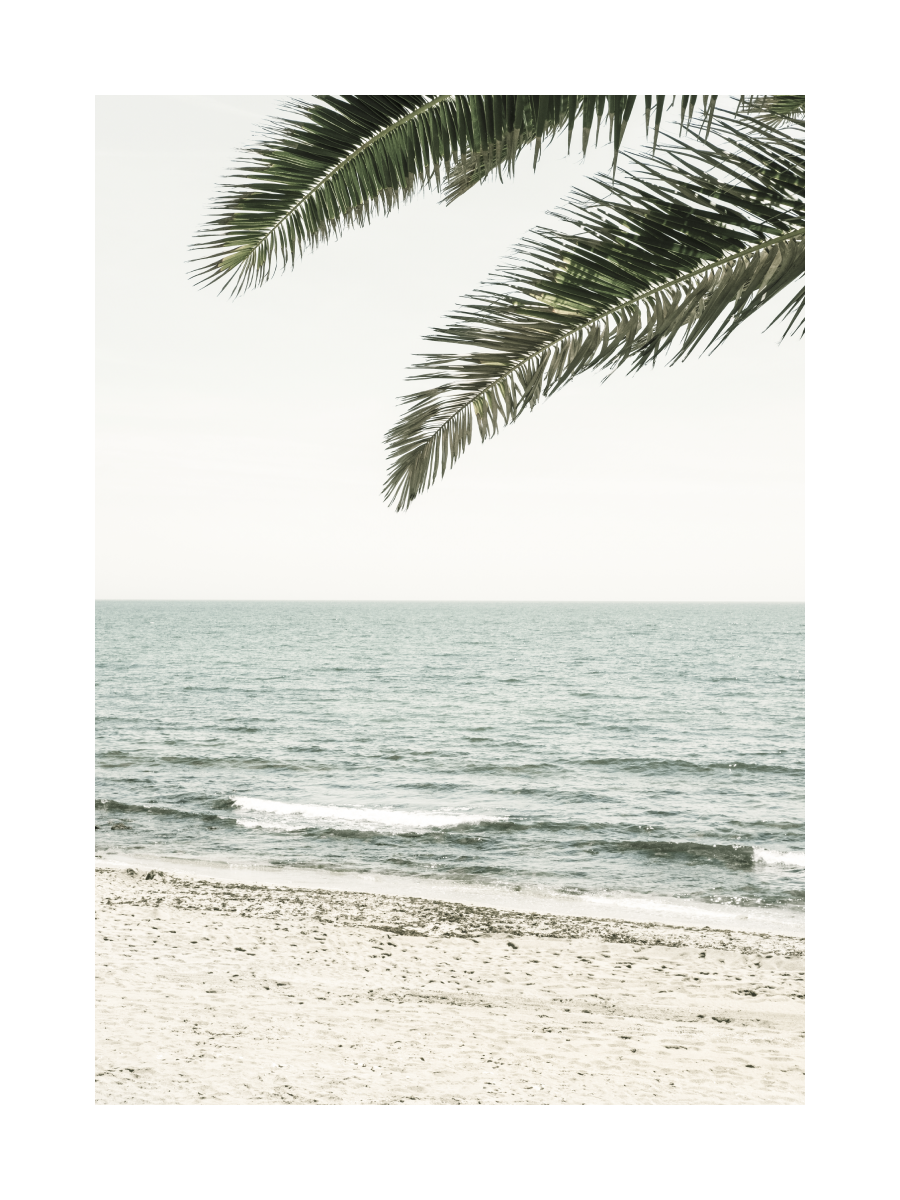 Fotografie eines Strandes mit einem Palmblatt im Vordergrund und dem Meer im Hintergrund.