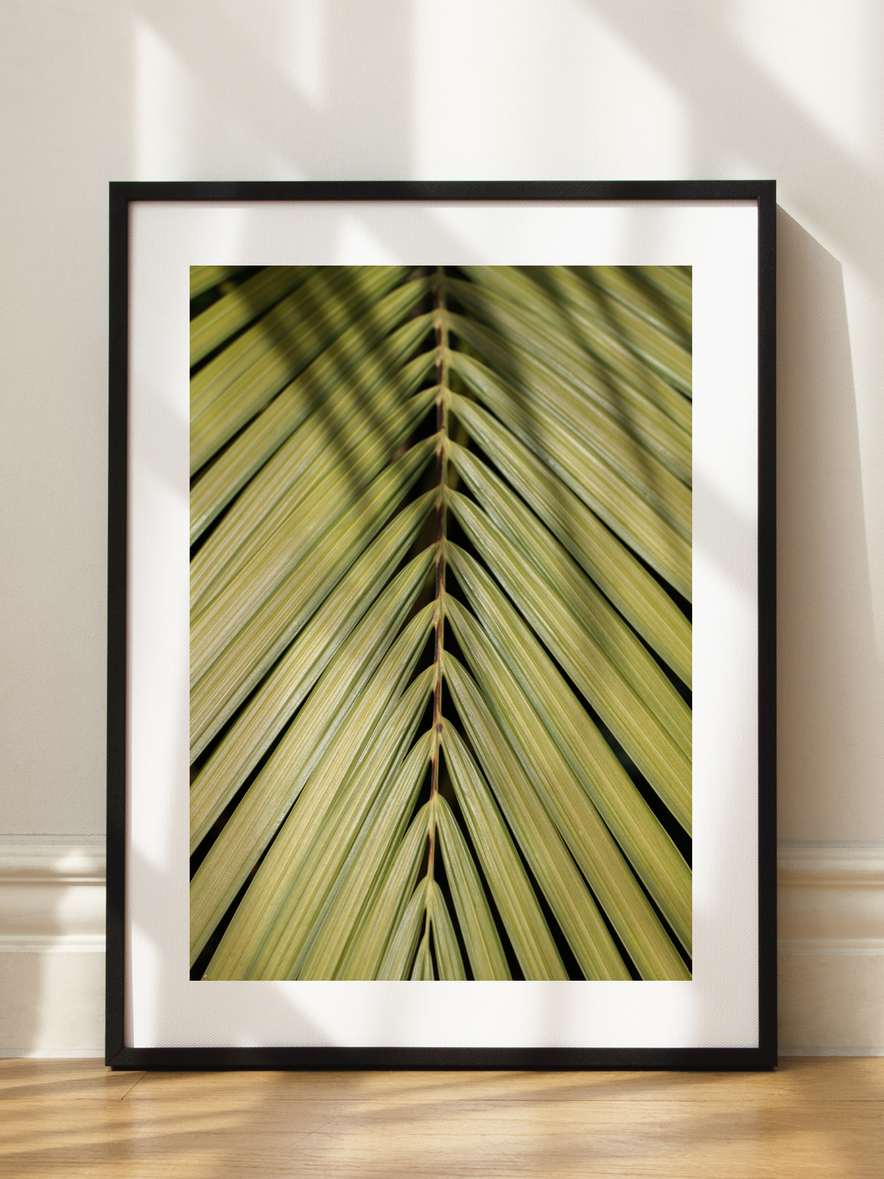 Palm Leaf Close Up