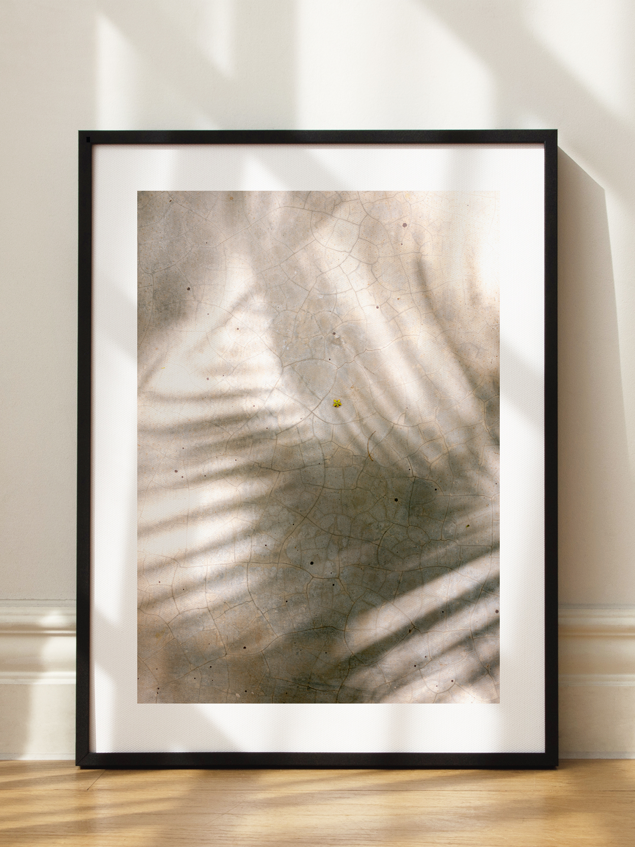 Palm Leaf Shadows Poster