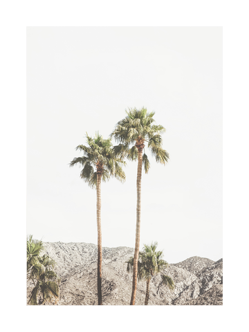 Fotografie von Palmen vor einem Berg in Palm Springs.