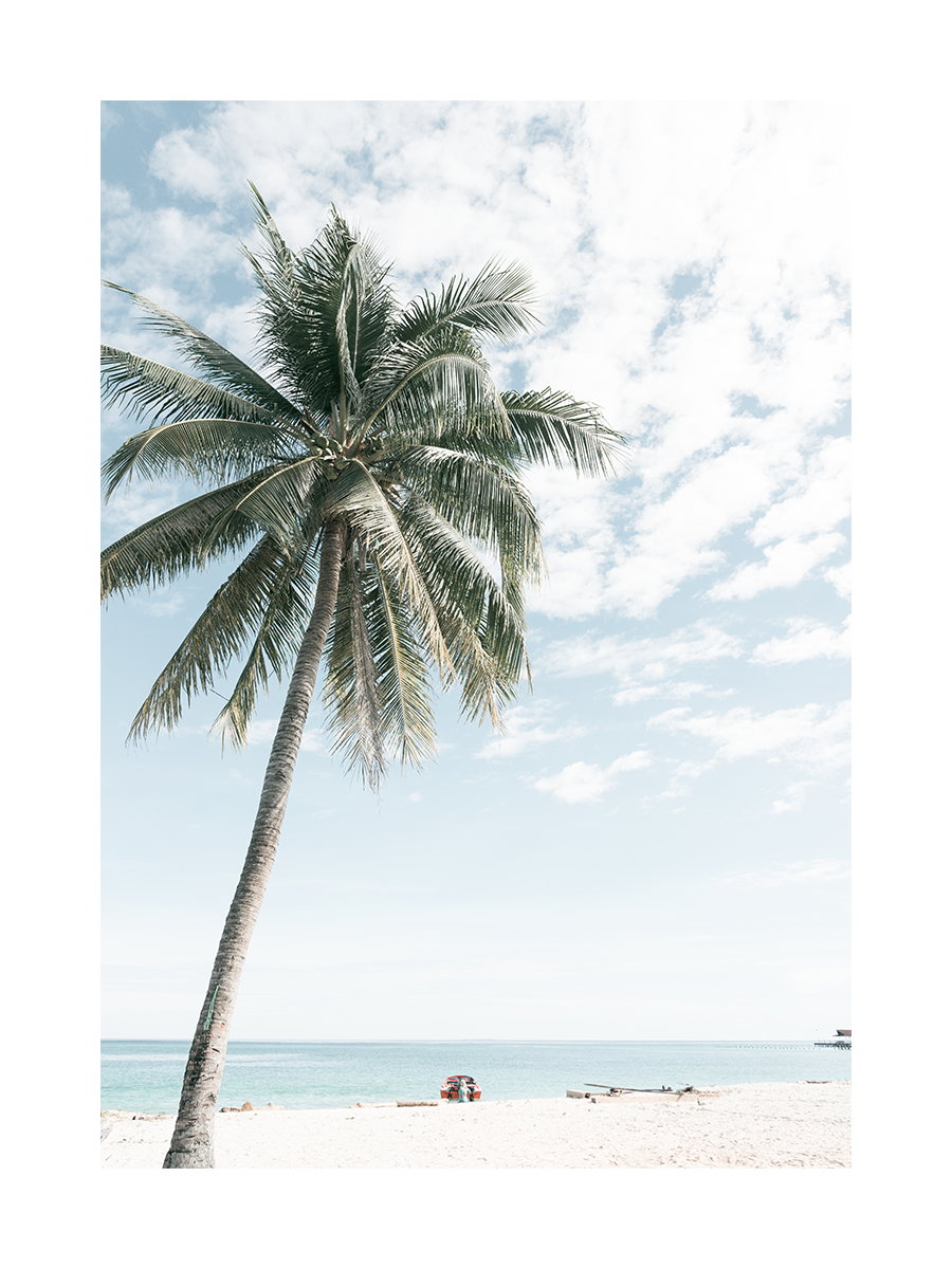 Fotografie einer Palme am Strand mit blauem Himmel und Meer im Hintergrund.