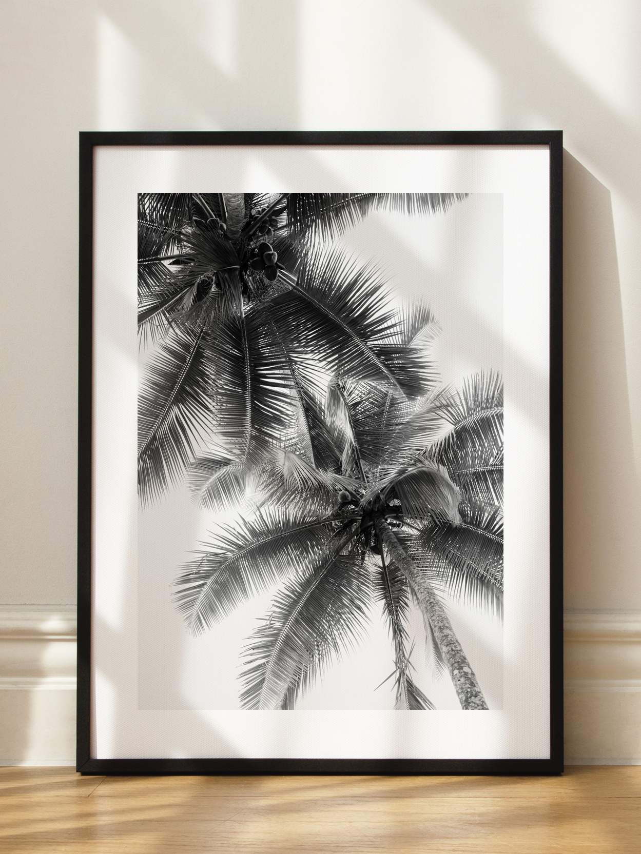 Palm Trees From Below