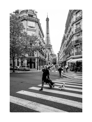 Schwarz-weiß-Fotografie einer Frau mit Hund auf einem Zebrastreifen, Eiffelturm im Hintergrund.