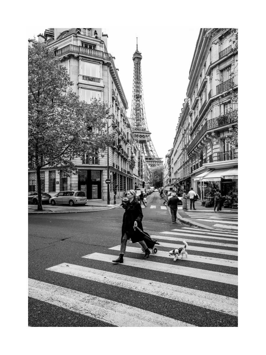 Schwarz-weiß-Fotografie einer Frau mit Hund auf einem Zebrastreifen, Eiffelturm im Hintergrund.