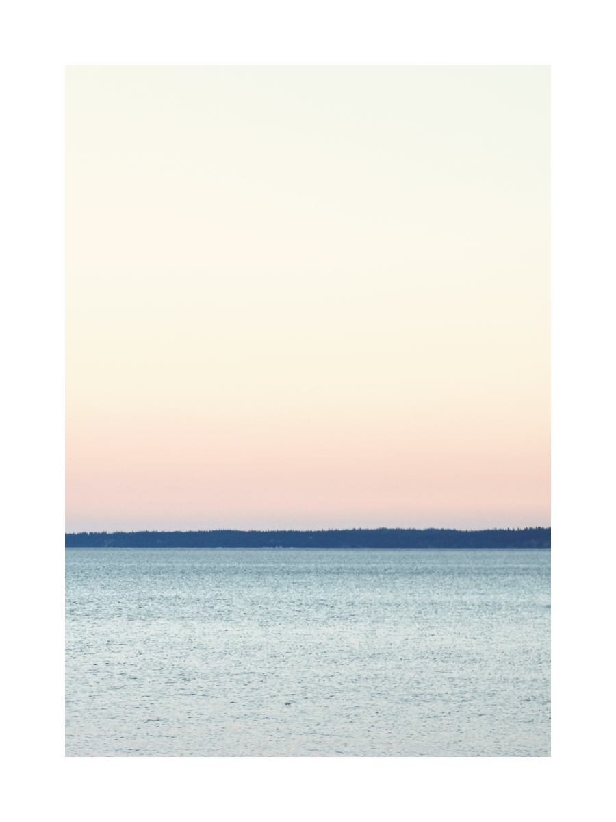 Fotografie eines ruhigen Sees mit rosa Himmel und dunklen Bäumen am Horizont.