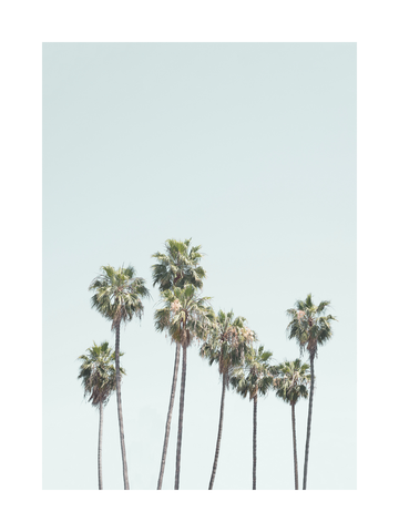 Fotografie von Palmen vor einem hellblauen Himmel in Pastellfarben.