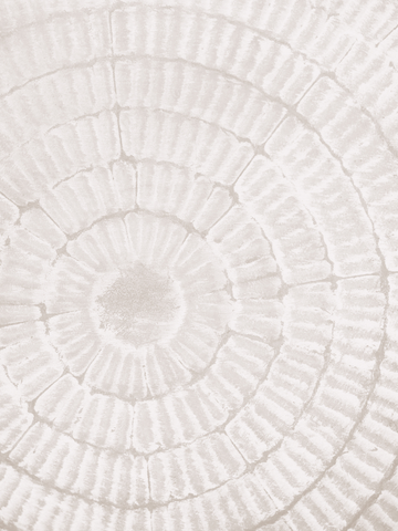 Poster mit konzentrischen Kreisen in Beige.