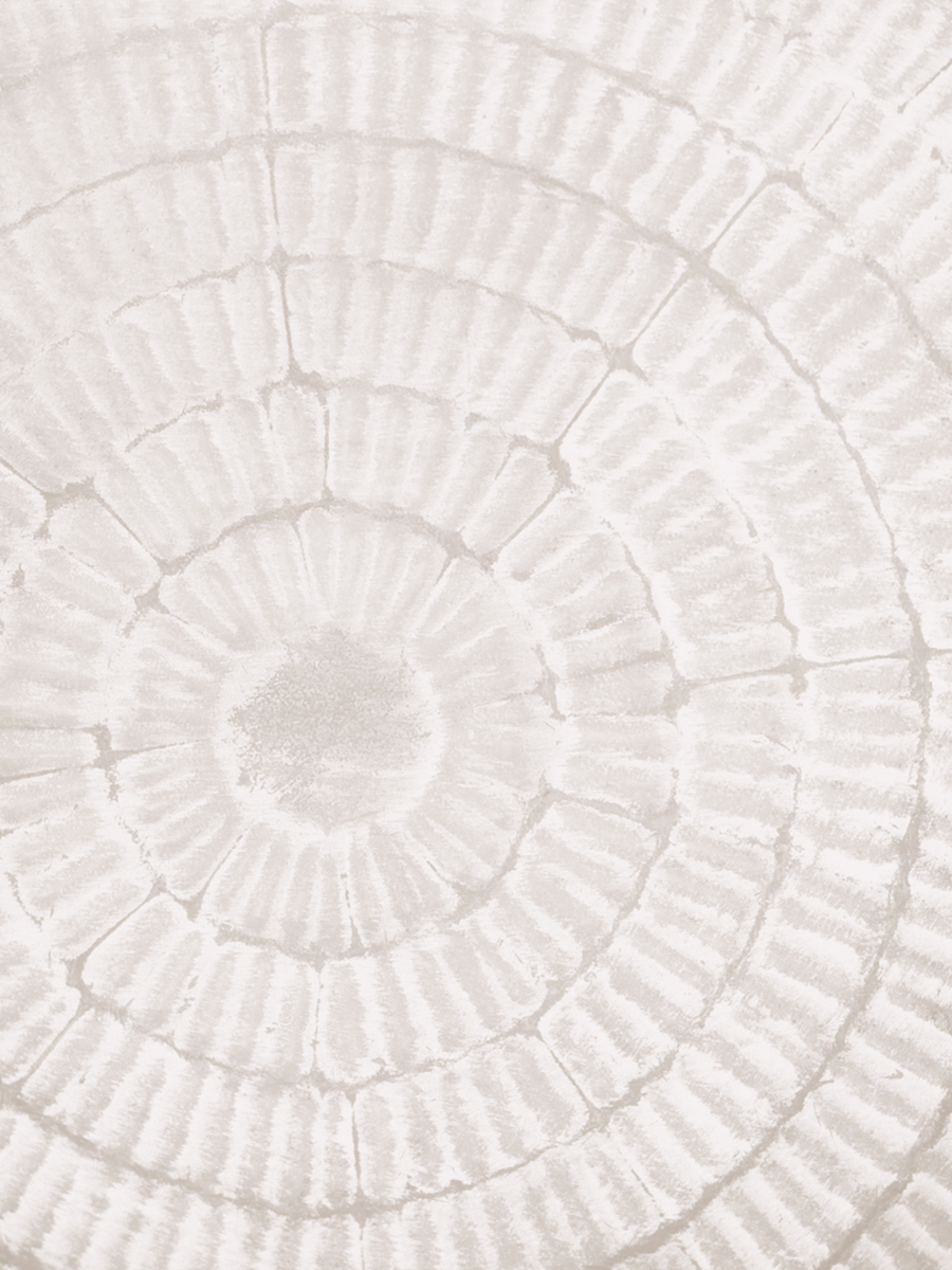 Poster mit konzentrischen Kreisen in Beige.