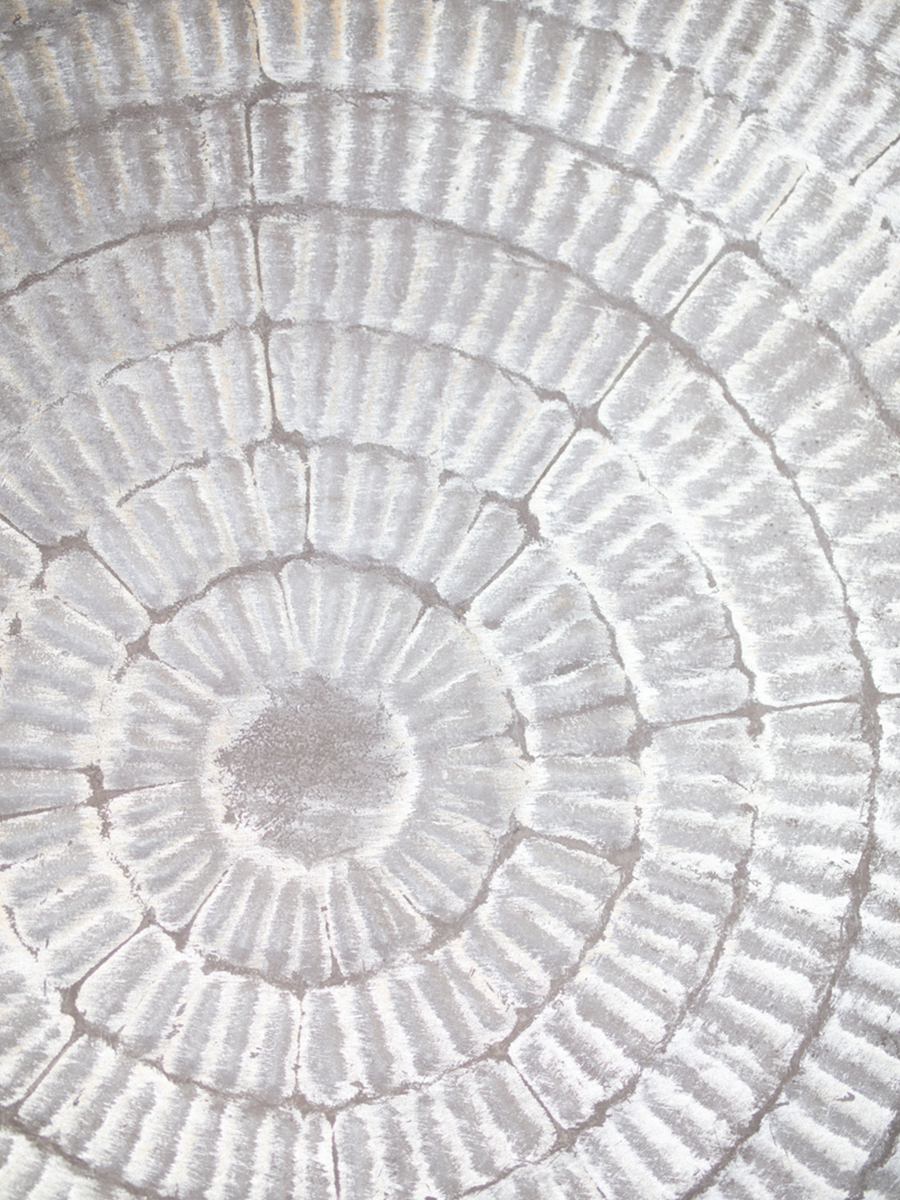 Pattern Plate Grey Poster