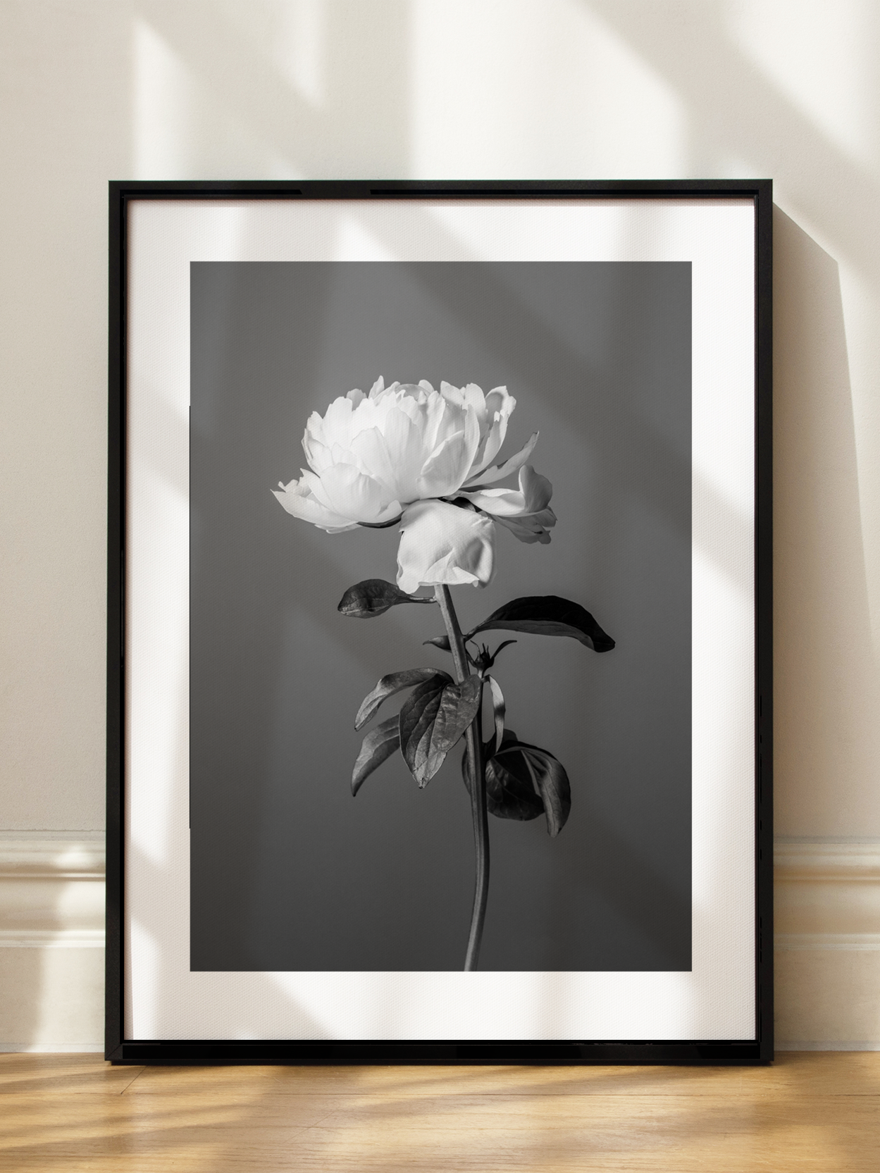 Peony in Black and White