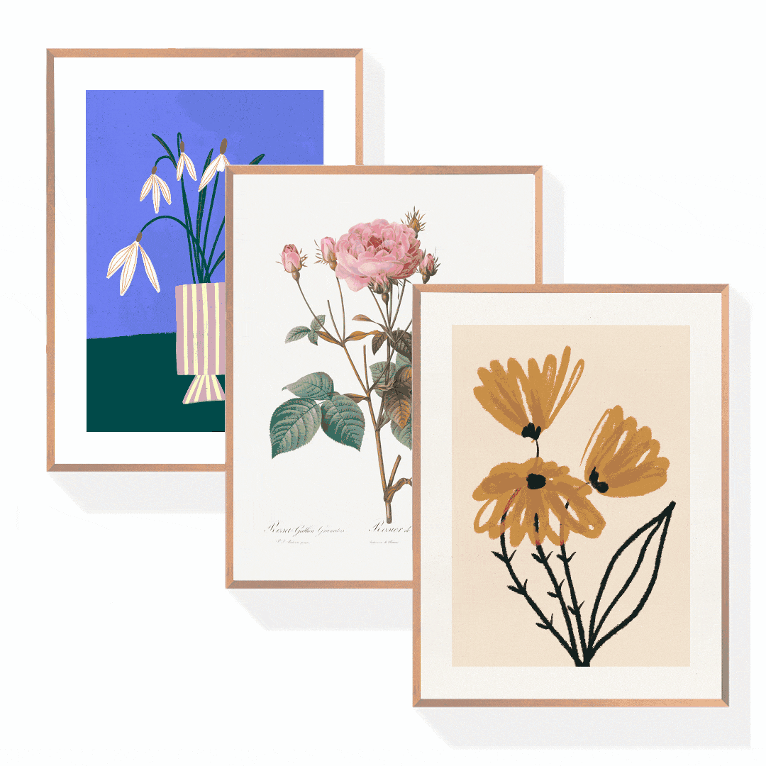 Pflanzen Bilder & Botanik Poster Bundle