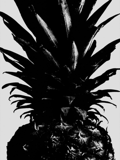 Schwarz-weiß-Fotografie einer Ananas auf grauem Hintergrund.