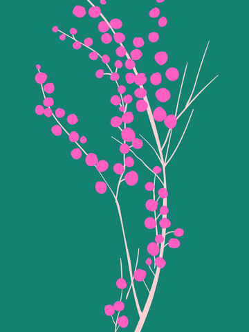 Grafische Illustration von rosa Beeren auf grünem Hintergrund.