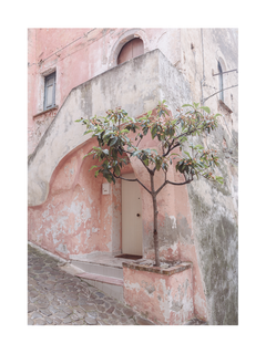 Fotografie eines kleinen Baumes vor einem rosa Gebäude mit verwitterten Wänden.