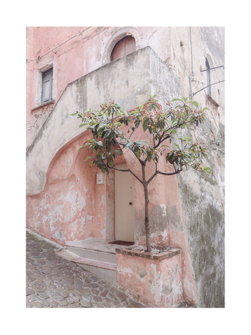 Fotografie eines kleinen Baumes vor einem rosa Gebäude mit verwitterten Wänden.