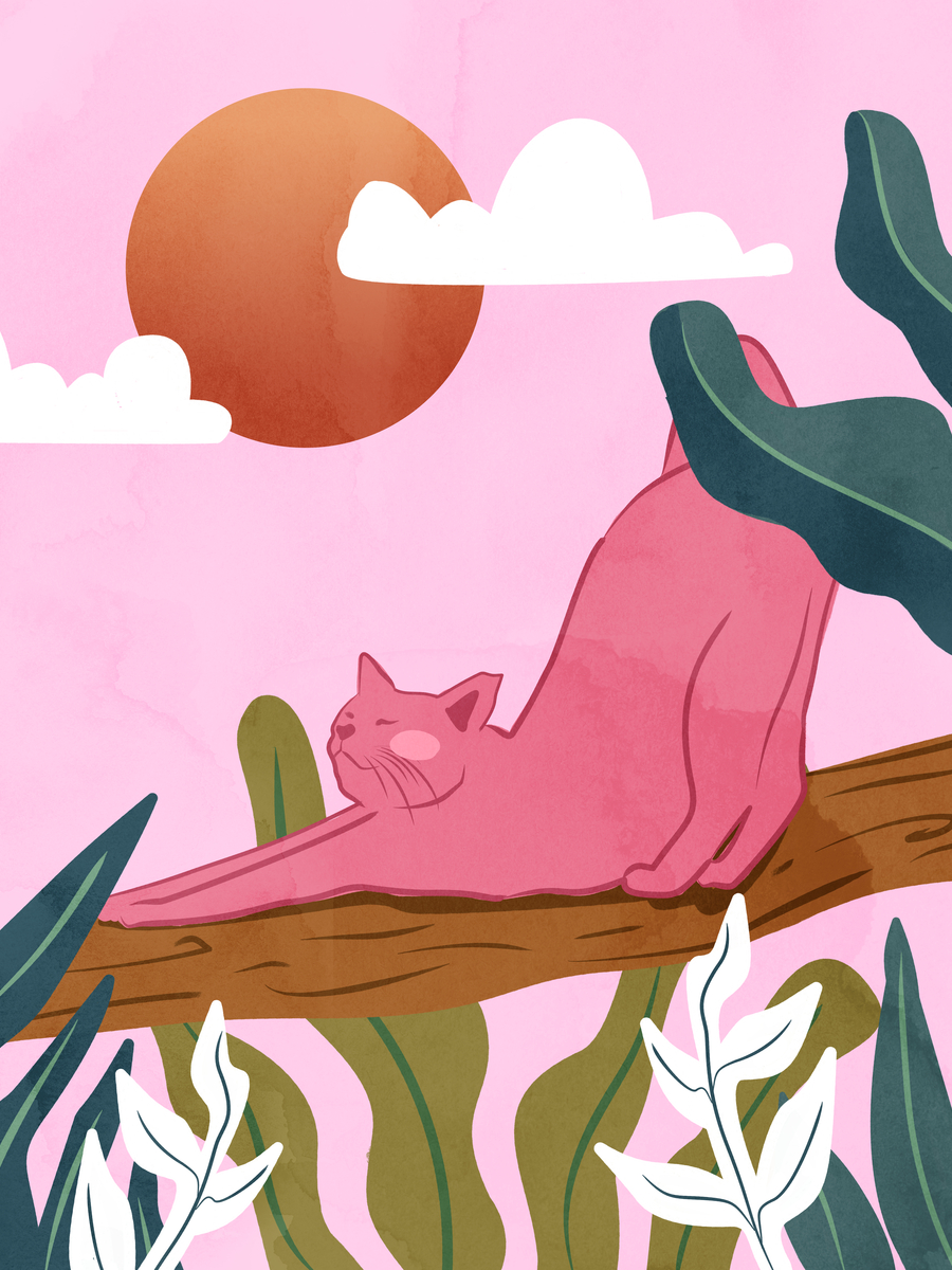 Illustration einer rosafarbenen Katze auf einem Ast mit rosa Hintergrund, orangefarbener Sonne und weißen Wolken.