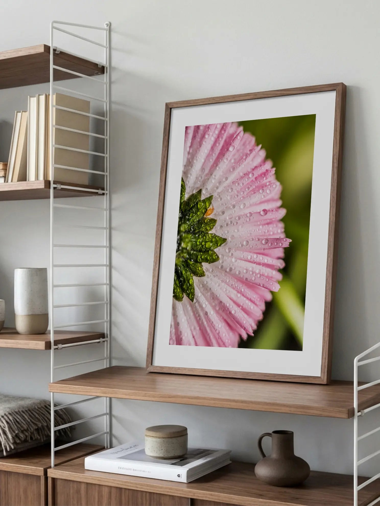 Pink Daisy Close Up Poster