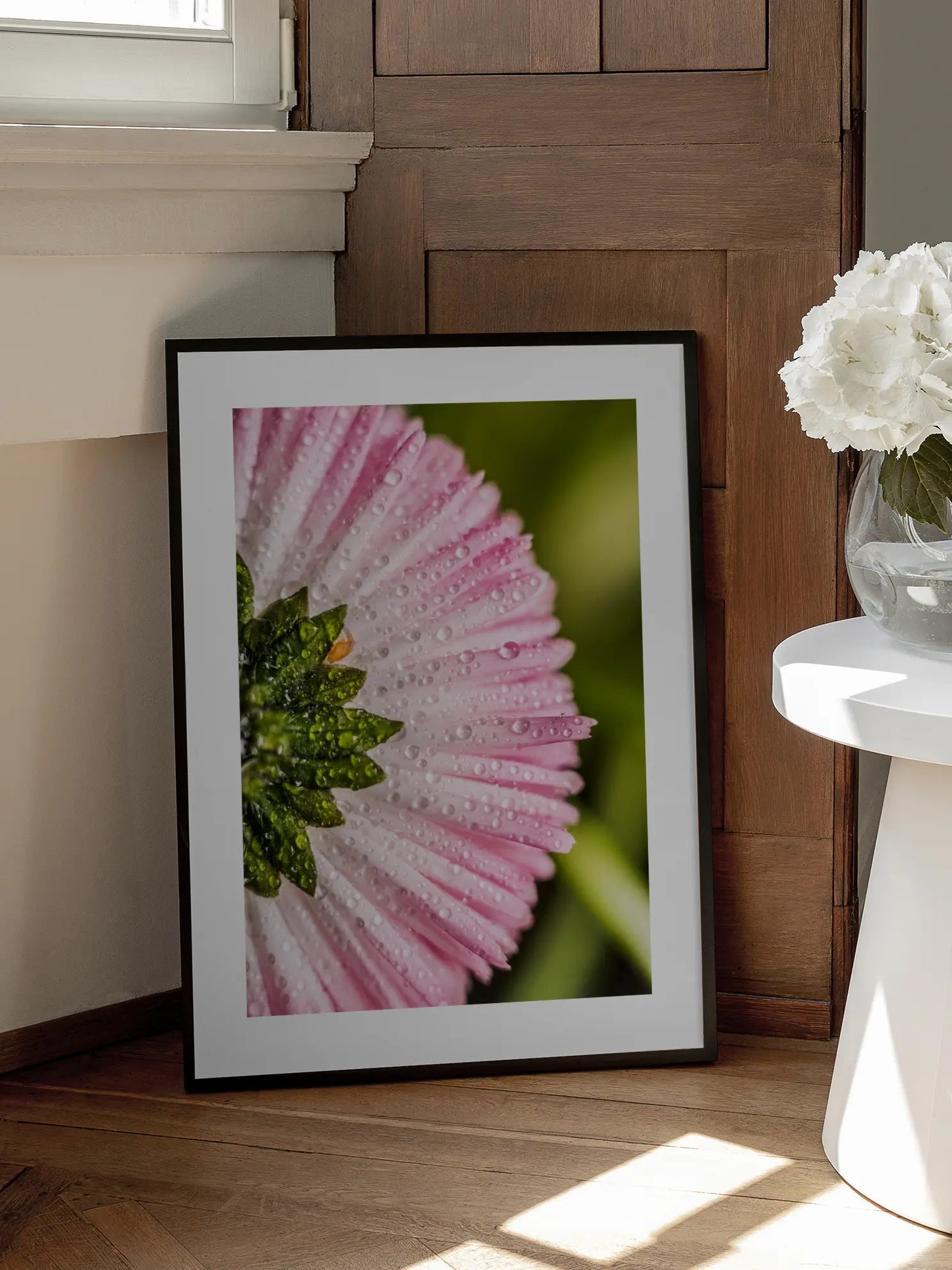 Pink Daisy Close Up Poster