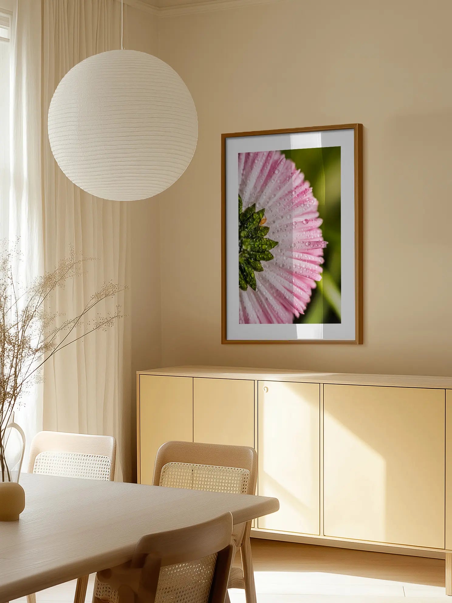 Pink Daisy Close Up Poster