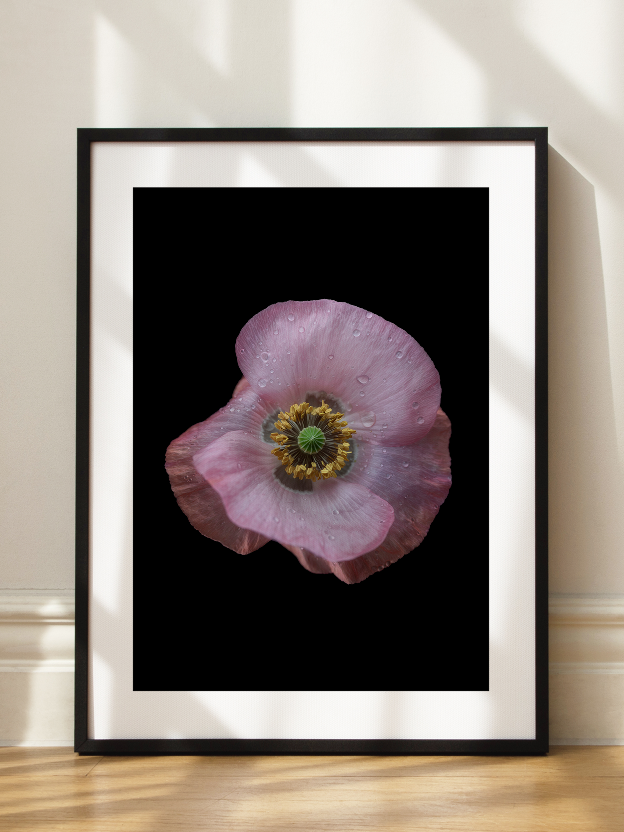 Pink Flower Poster