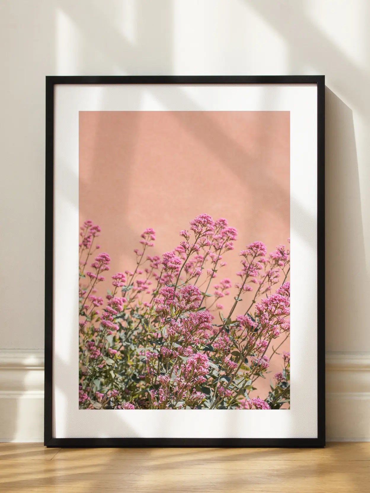 Pink Flower Field No2