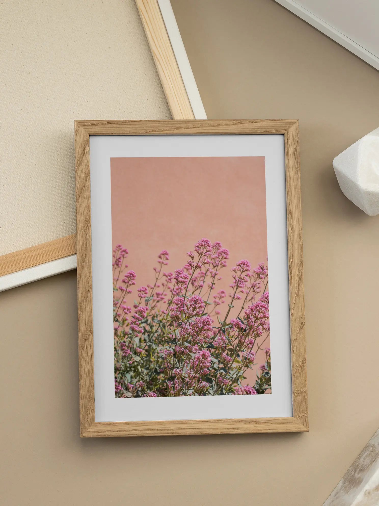 Pink Flower Field No2 Poster