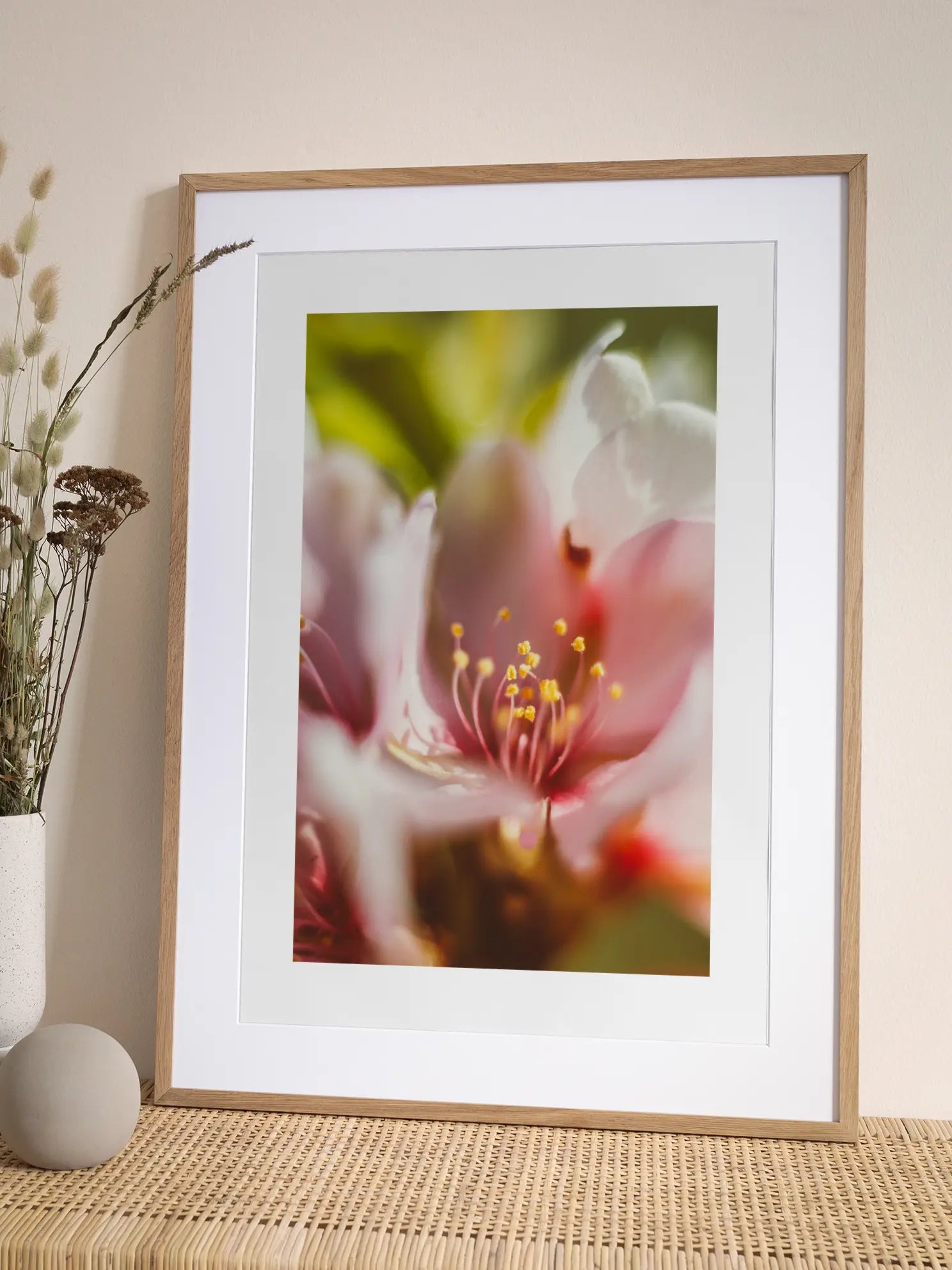Pink Flower Macro Poster