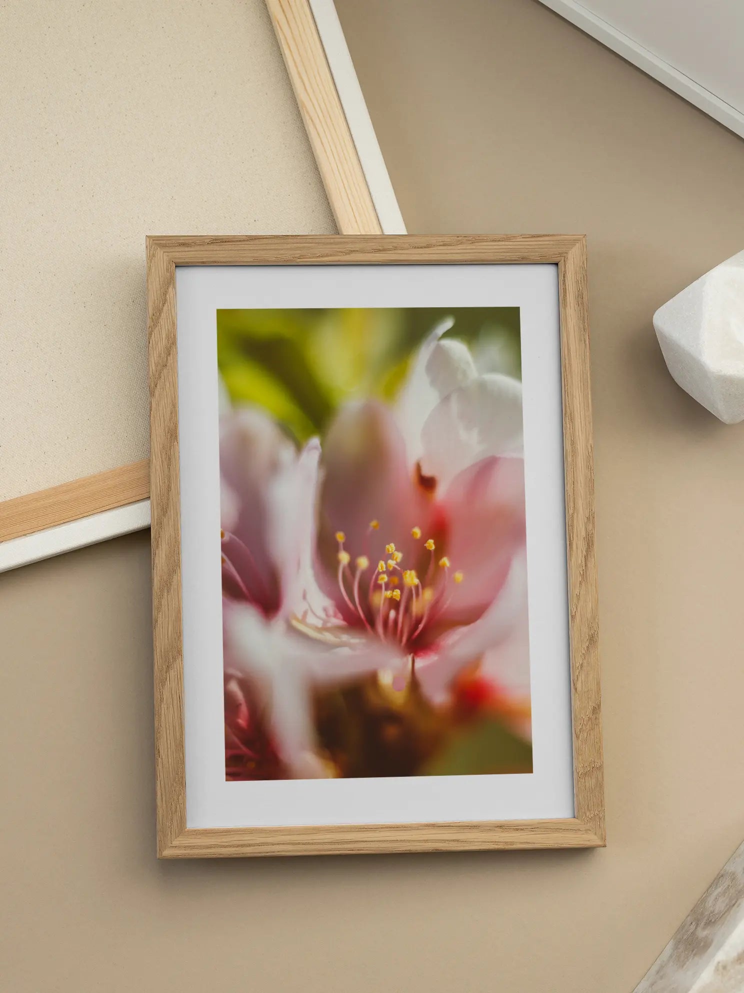 Pink Flower Macro Poster
