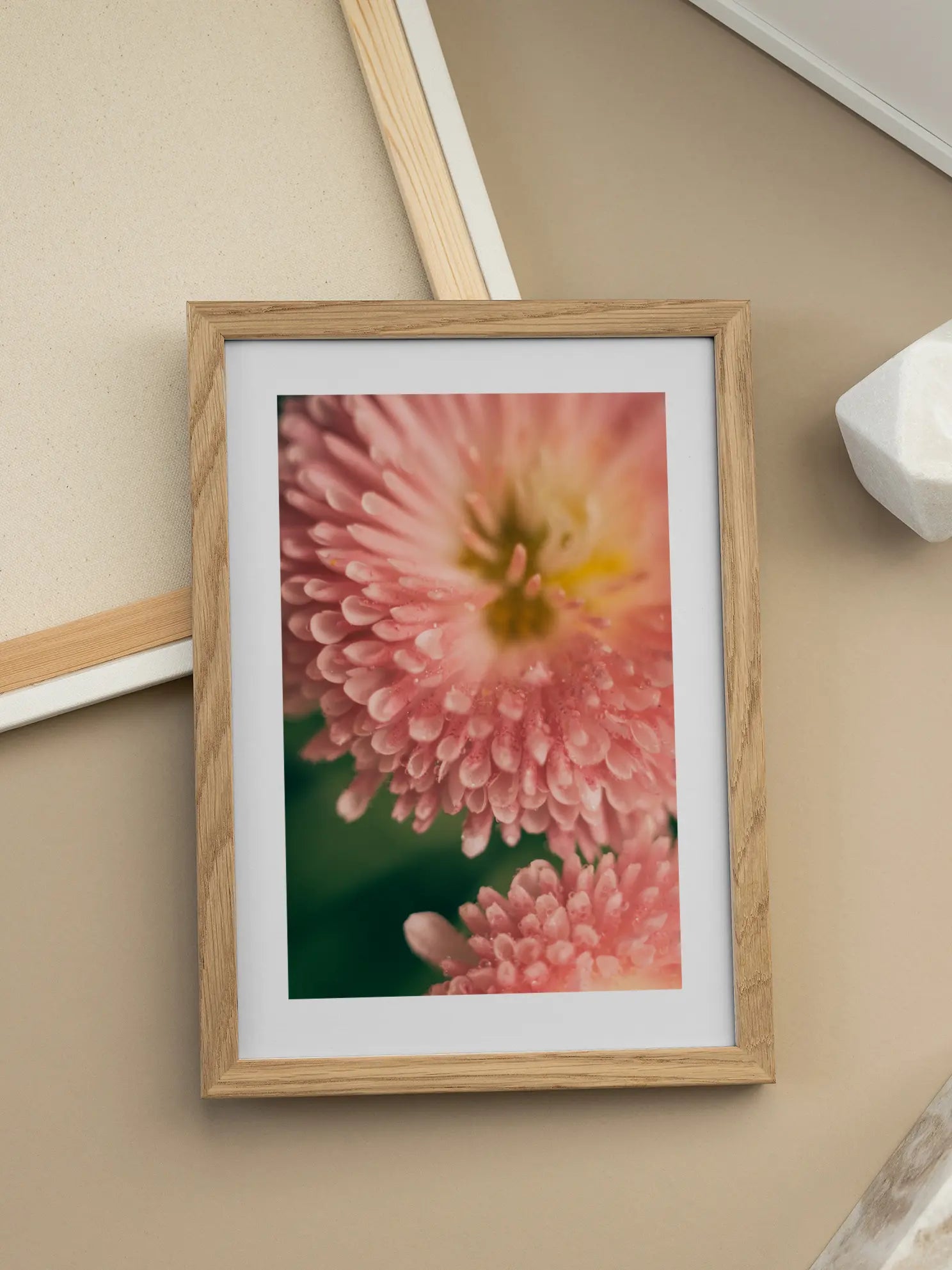 Pink Flower Macro Close Up Poster