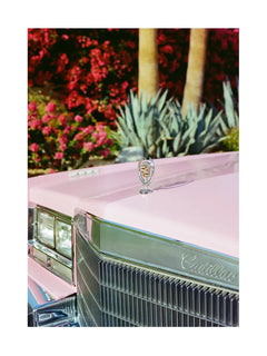 Eine Nahaufnahme der Motorhaube eines rosa Cadillac Vintage Autos mit glänzender Kühlerfigur vor roten Blumen.