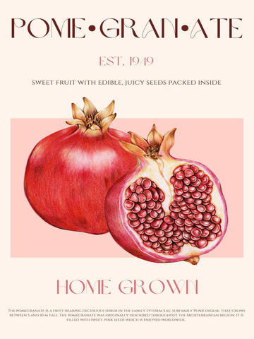 Poster mit einem roten Granatapfel und rosa Hintergrund, Text über die Frucht.