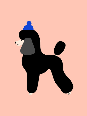Illustration eines schwarzen Pudels mit blauer Mütze vor einem rosafarbenen Hintergrund.