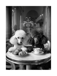 Schwarz-weißes Foto von zwei Pudeln, die an einem Tisch mit Croissants und Tee sitzen.