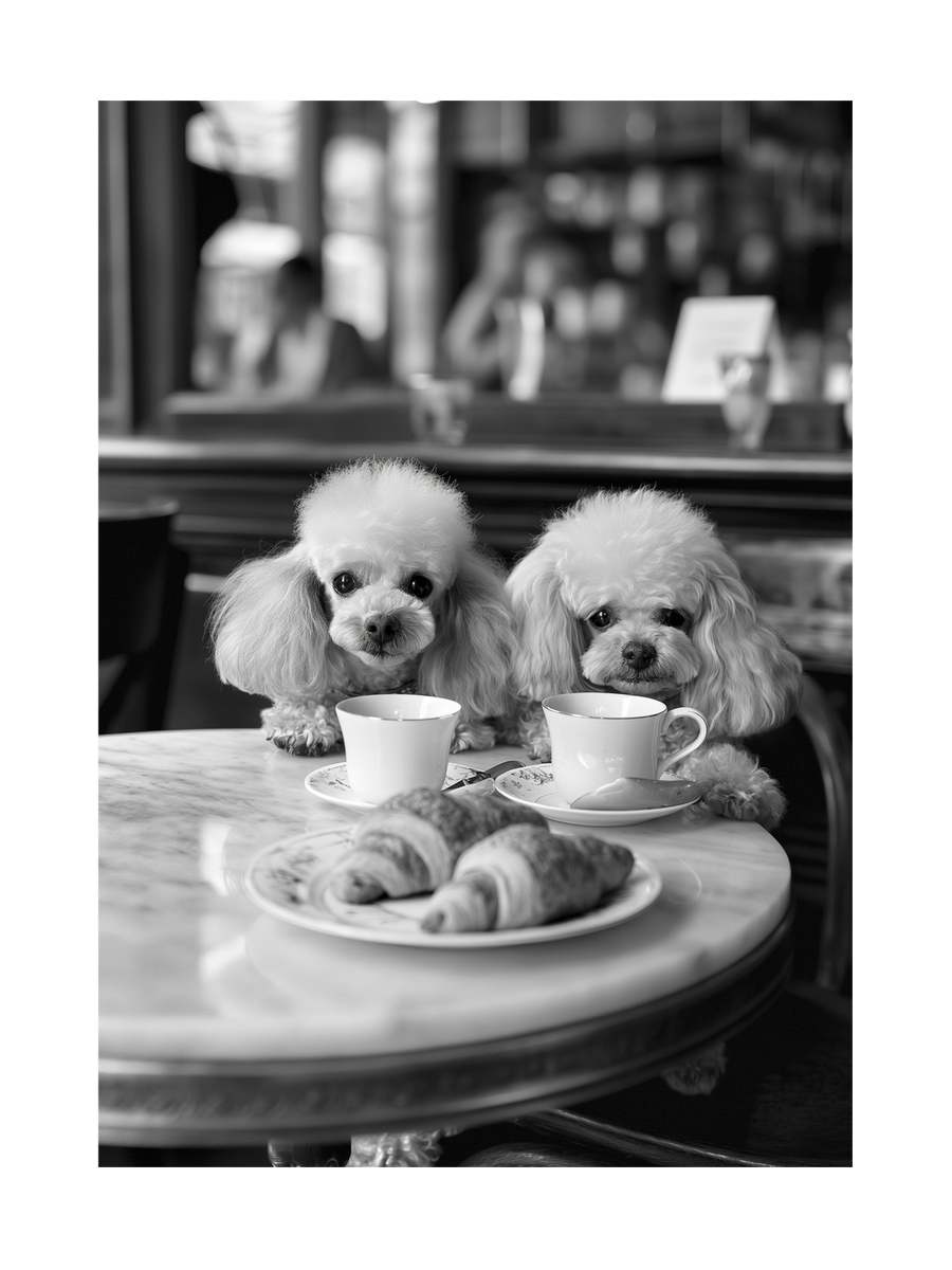 Poodles Having Coffee Poster