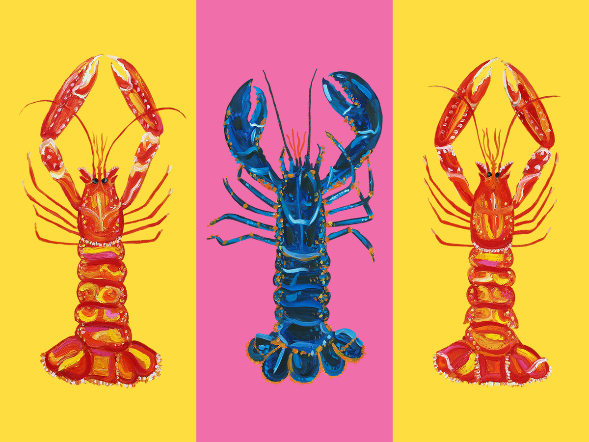 Drei Hummer in Pop-Art-Stil: blauer Hummer auf rosa Hintergrund, zwei rote Hummer auf gelbem Hintergrund.
