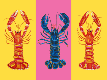 Drei Hummer in Pop-Art-Stil: blauer Hummer auf rosa Hintergrund, zwei rote Hummer auf gelbem Hintergrund.