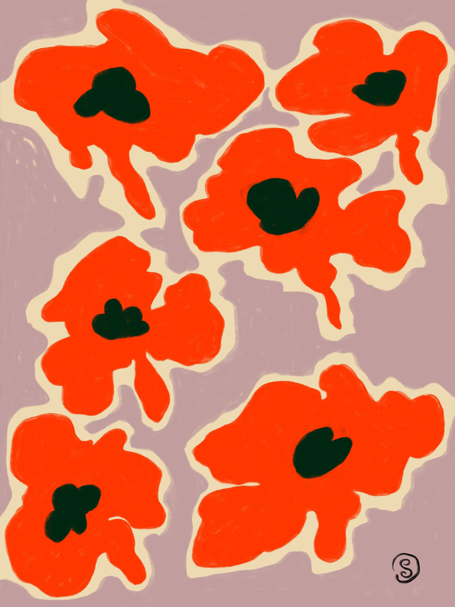 Rote Mohnblumen vor einem lila Hintergrund.