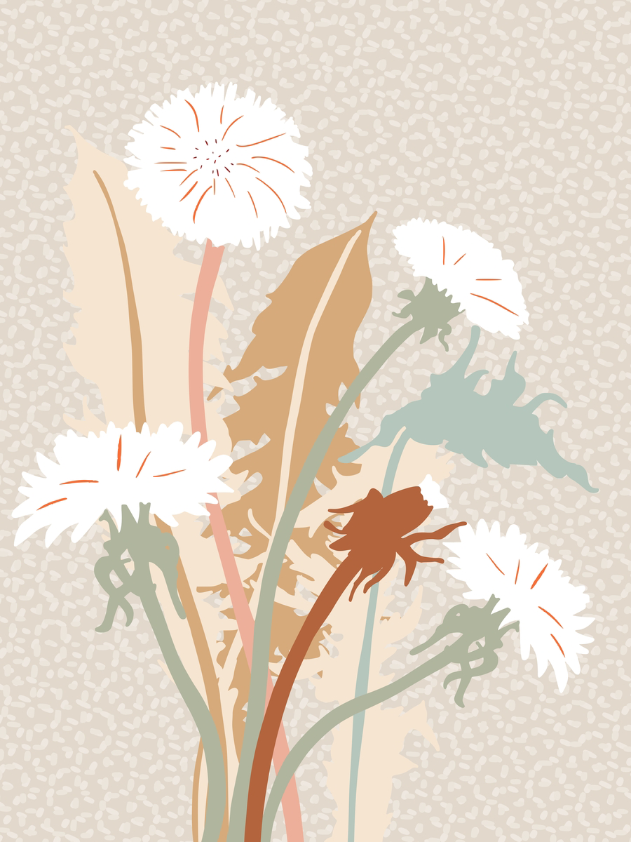 Illustration von weißen Löwenzahnblumen mit grünen und braunen Blättern auf hellbeigem Hintergrund.