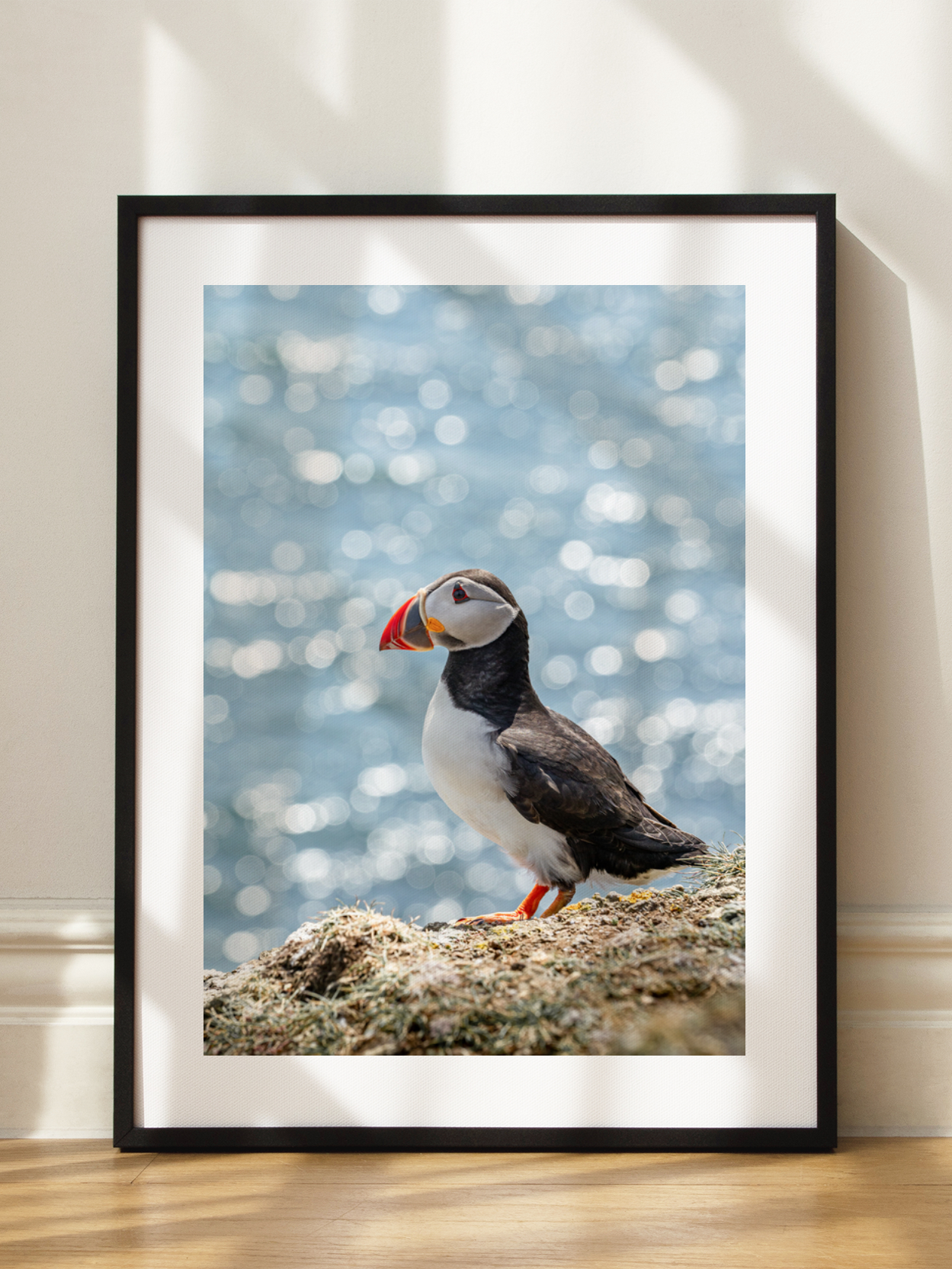 Puffin on a Cliff