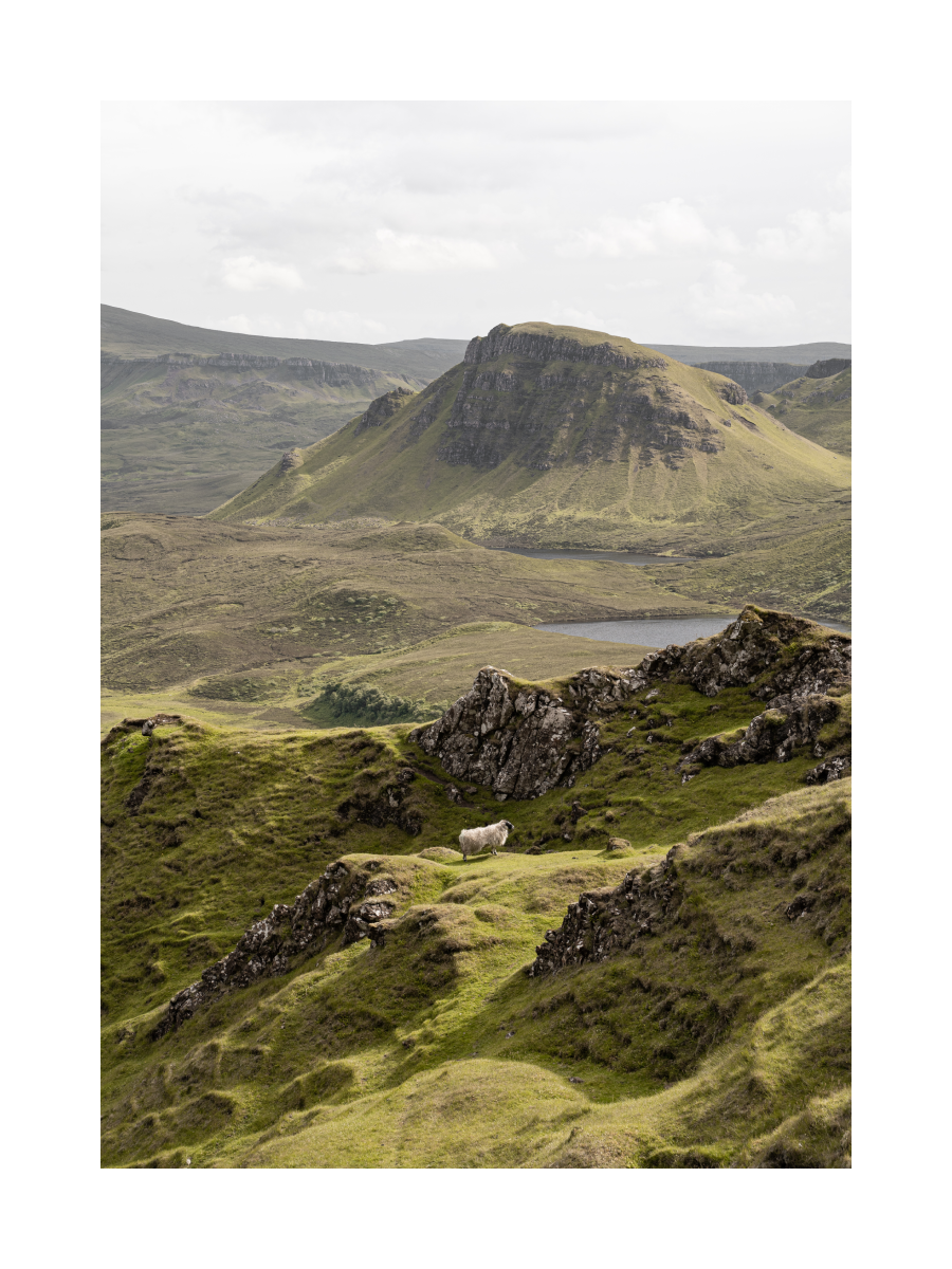 Landschaft von Quiraing auf der Isle of Skye mit grünen Hügeln, Felsformationen und einem Schaf.