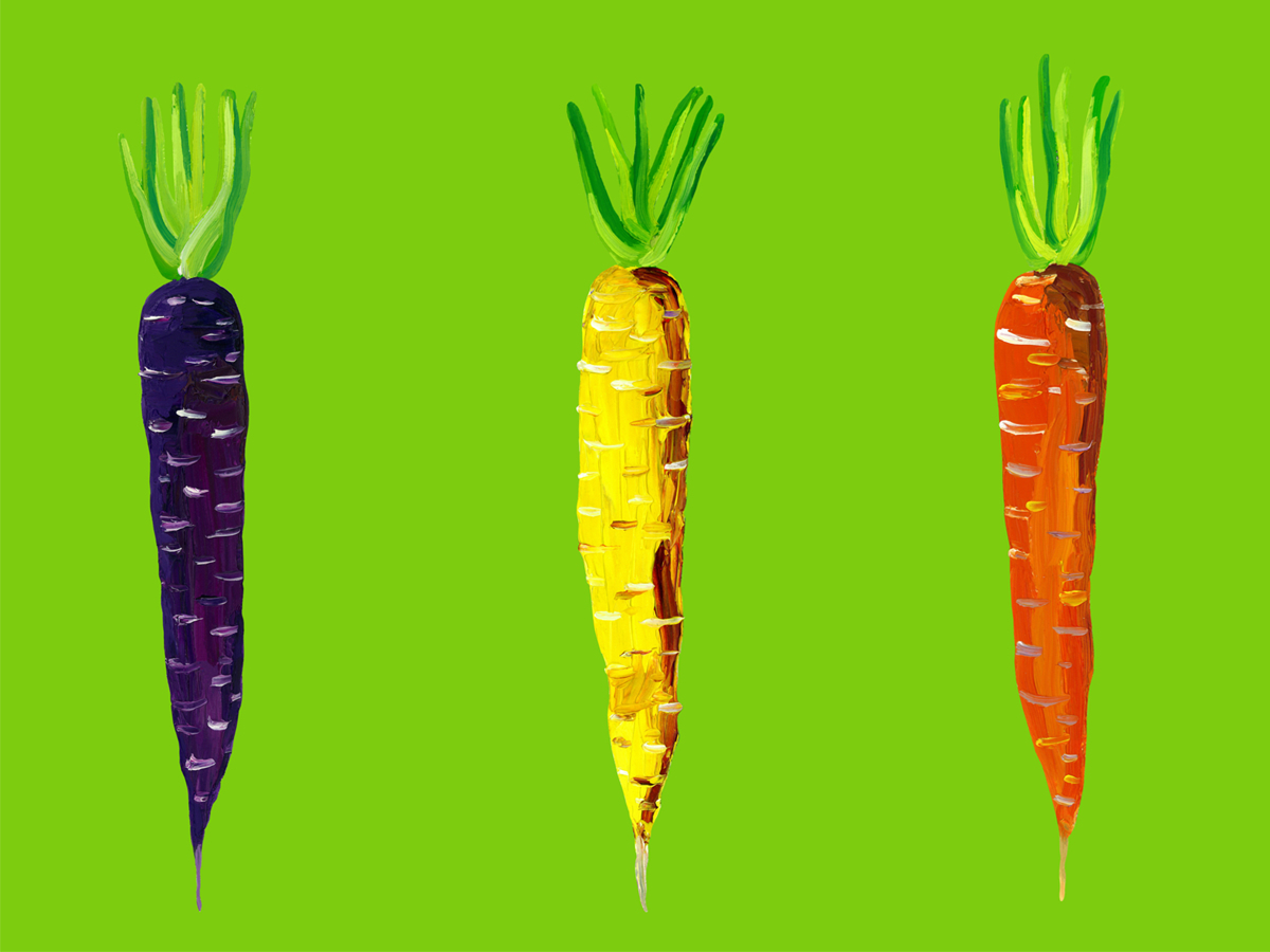 Drei bunte Karotten in Lila, Gelb und Orange auf einem leuchtend grünen Hintergrund.