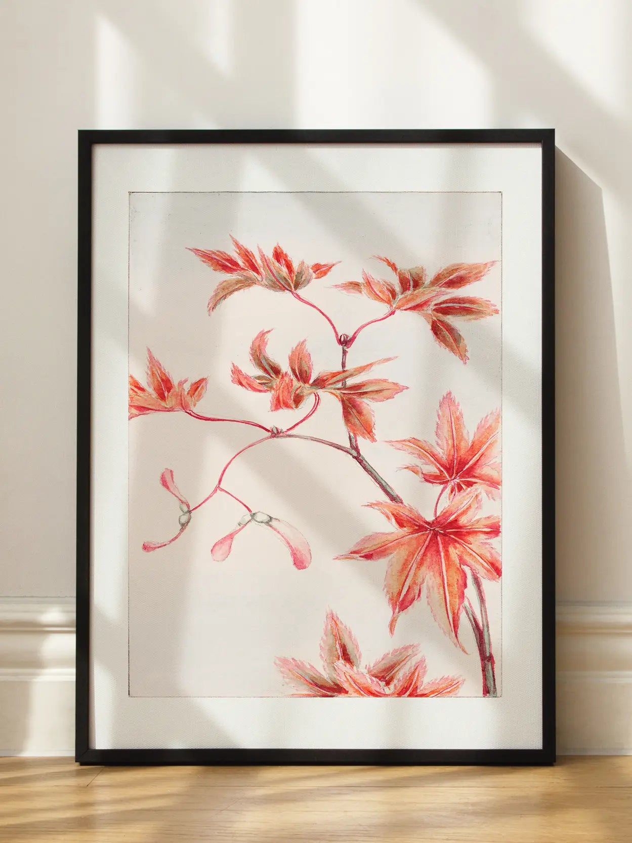 Red Leaves Branch