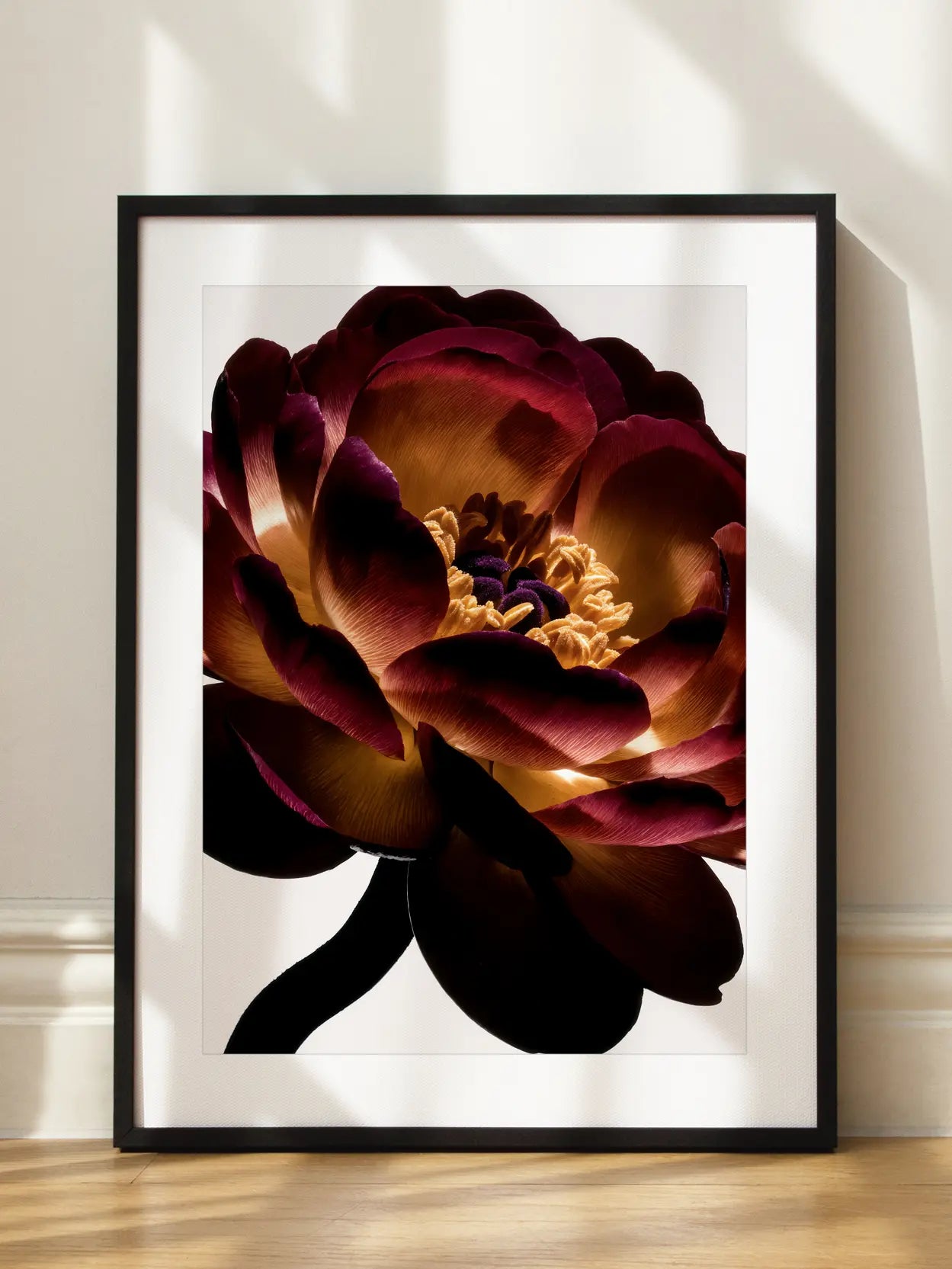 Red Peony Close Up Poster