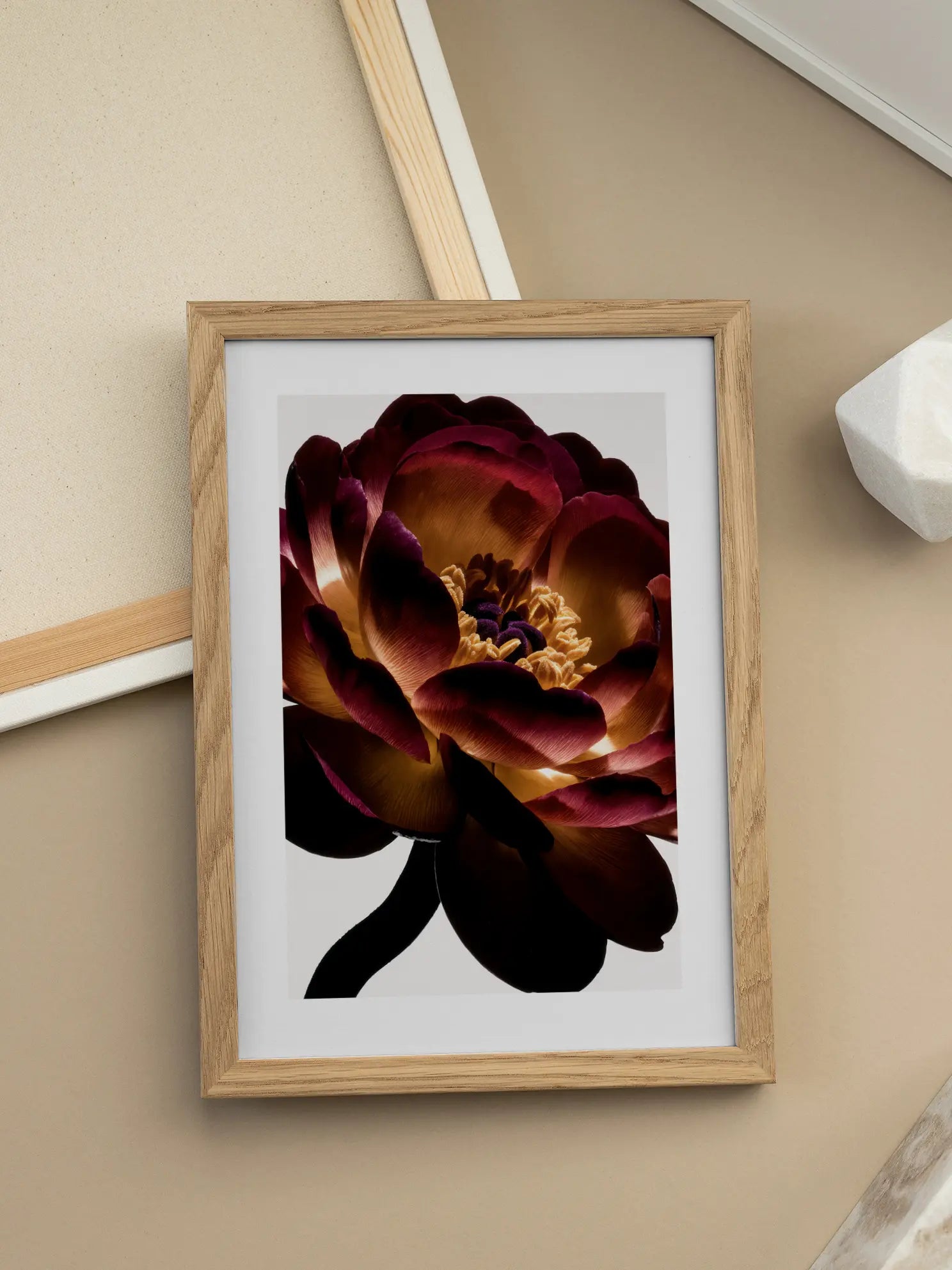 Red Peony Close Up Poster