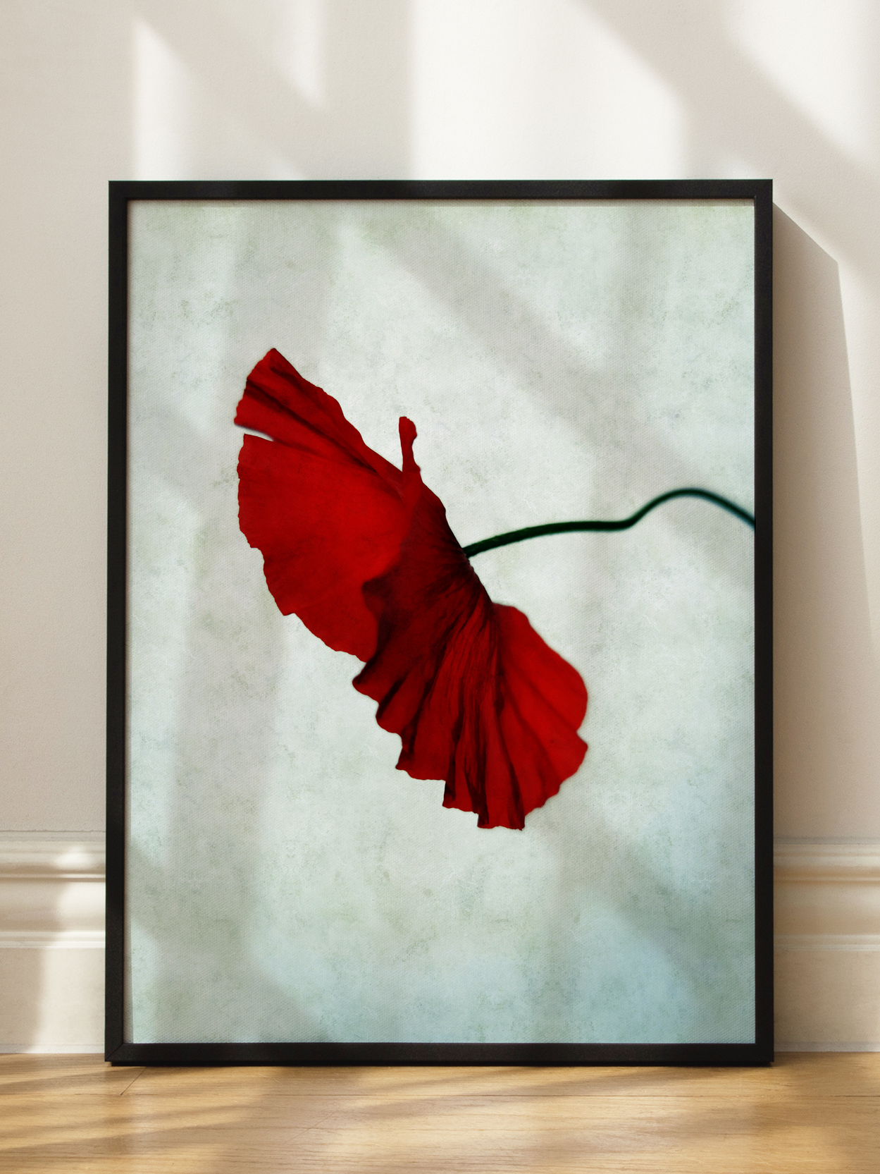 Red Poppy No2
