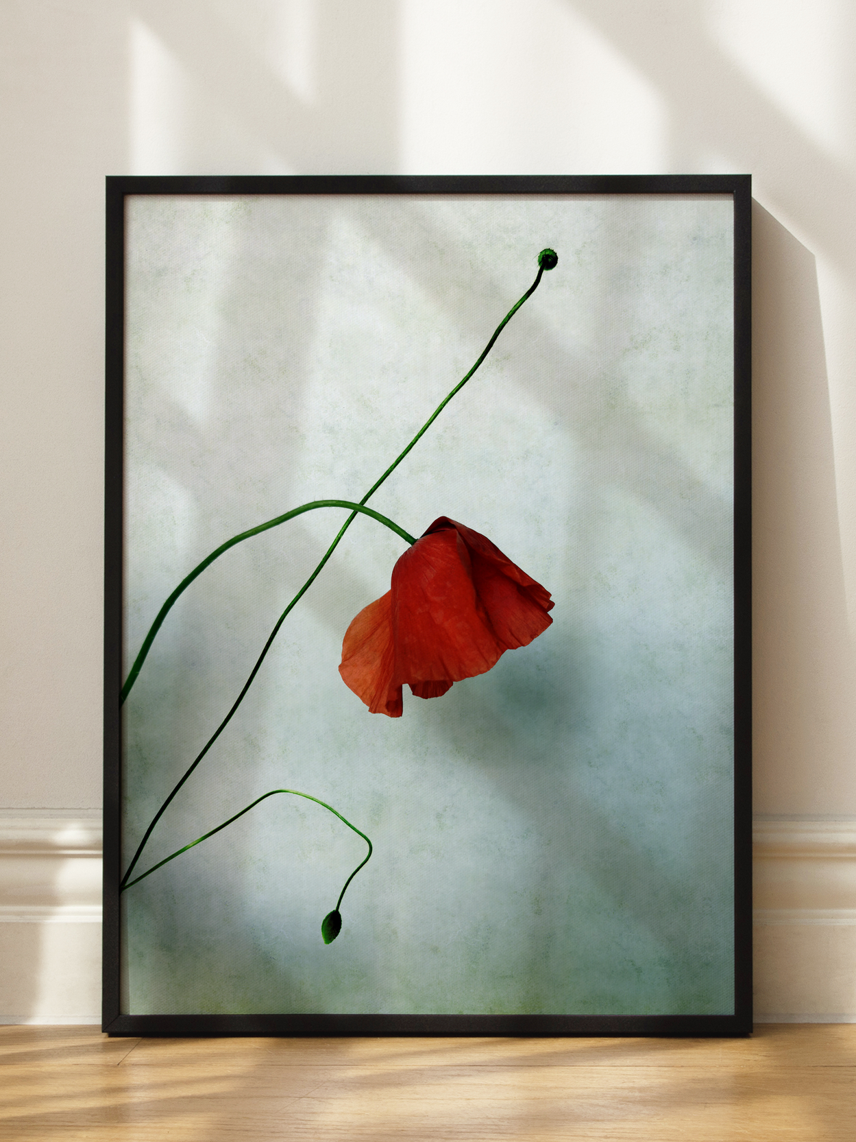 Red Poppy No3